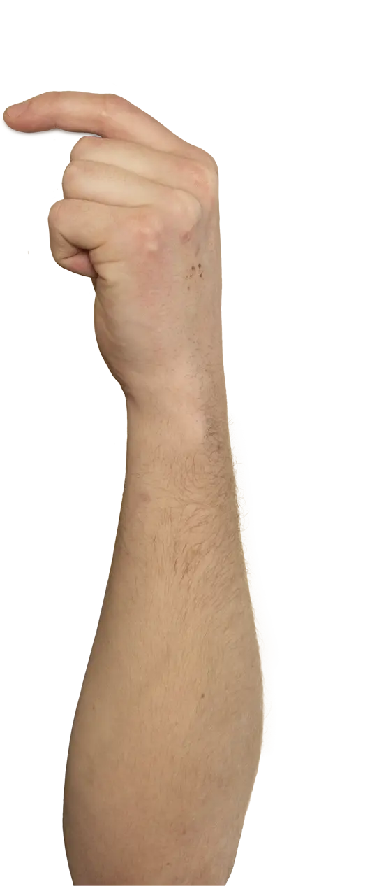 Hand