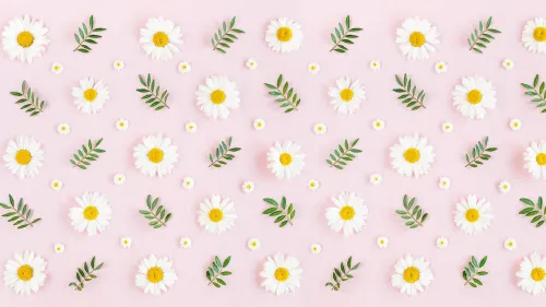 Haal het voorjaar in huis