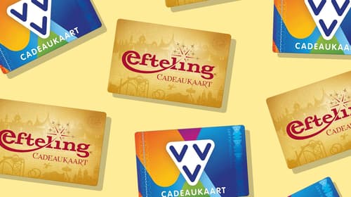 VVV bon omzetten naar Efteling
