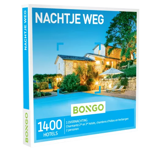 Bongo - Nachtje Weg